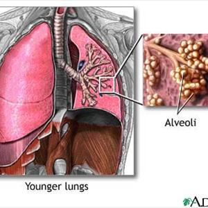 Mould In Lungs - Asia Possess Caused Indoor Humidifier "Breathe" Revolution - Makeup Holder Manufacturer